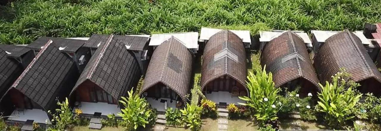 Morning Bali Bungalow Canggu  Ngoại thất bức ảnh