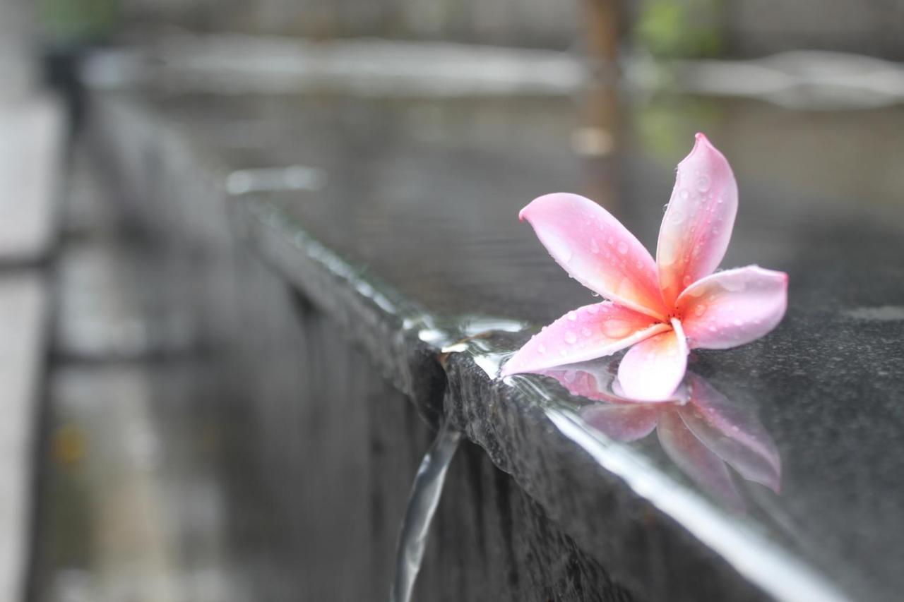 Morning Bali Bungalow Canggu  Ngoại thất bức ảnh